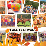 Ave Maria Fall Festival Event Banner
