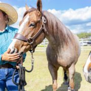 Blues, Brews & BBQ Festival